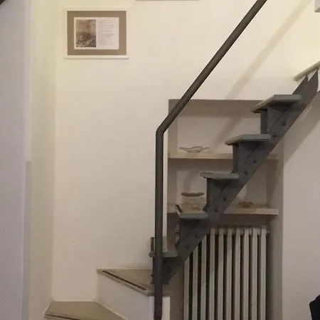 Comfort As Usual باري